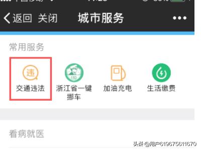 微信怎么查违章车辆查询（微信查违章车辆查询 违章记录查询）
