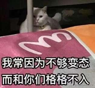 穿越之绝色仙子闯古代（穿越之绝色含香）