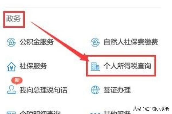 个人所得税查询怎么查询（个人所得税查询怎么查询缴税记录）