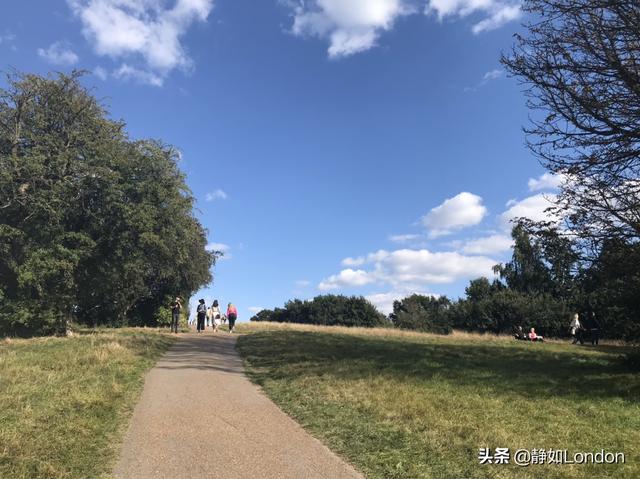 前夫放了我免费阅读（前夫放手吧）
