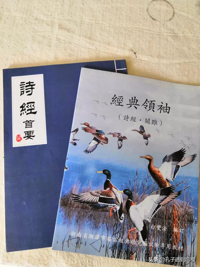 少年大宗师（少年大宗师签到大龙雪骑最新章节阅读）