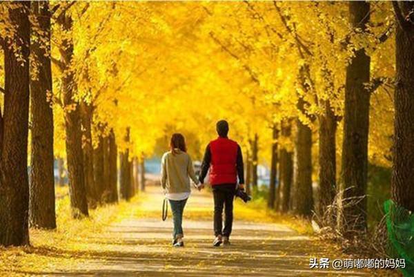 执子之手与子偕老（执子之手与子偕老全文）