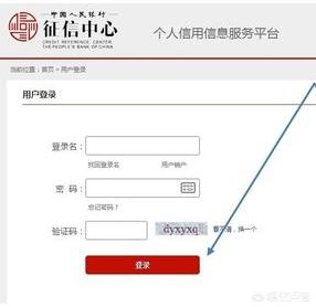 个人信用信息服务平台（个人信用信息服务平台查询）