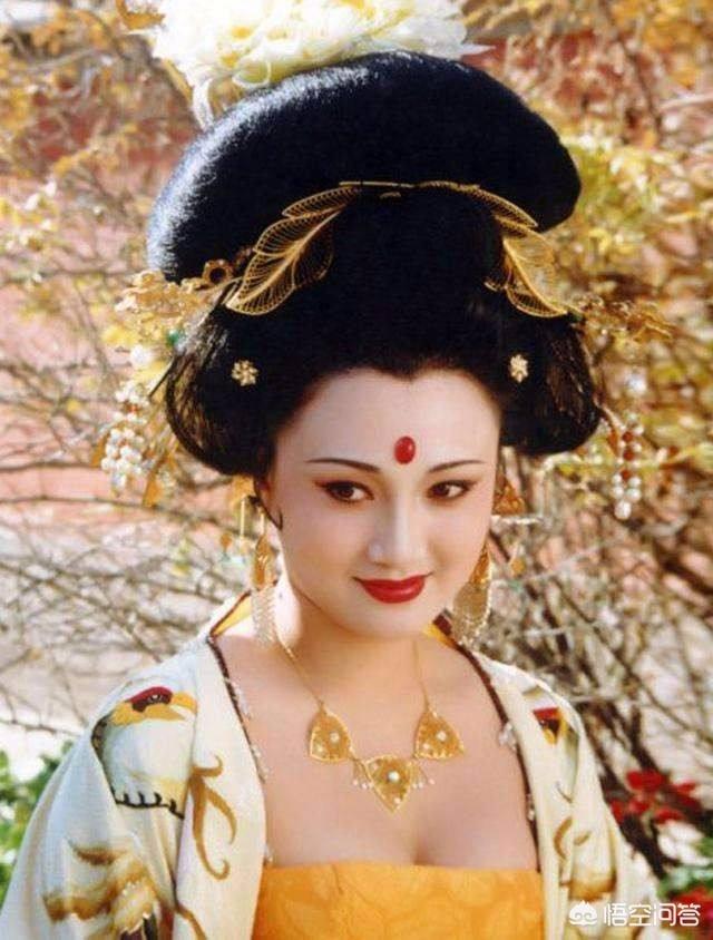 杨贵妃哪里人的历史介绍（杨贵妃究竟是哪里人）