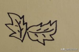 菊花简笔画（菊花简笔画教程）