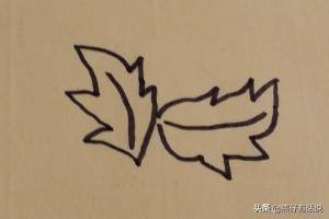 菊花简笔画（菊花简笔画教程）