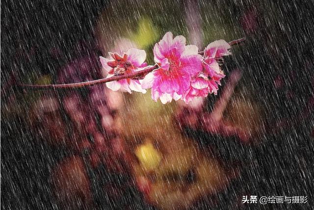 梅花图片（梅花图片手绘黑白）