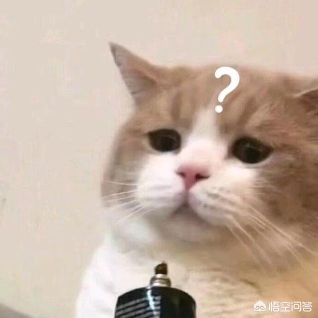 笑死人的笑话（笑死人的笑话视频）