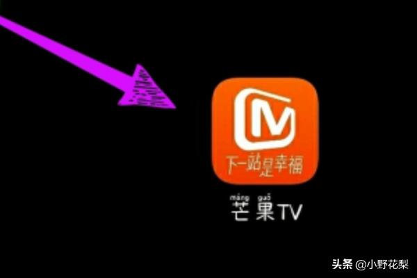 爱上女主播国语版芒果（爱上女主播国语中文版连续剧）