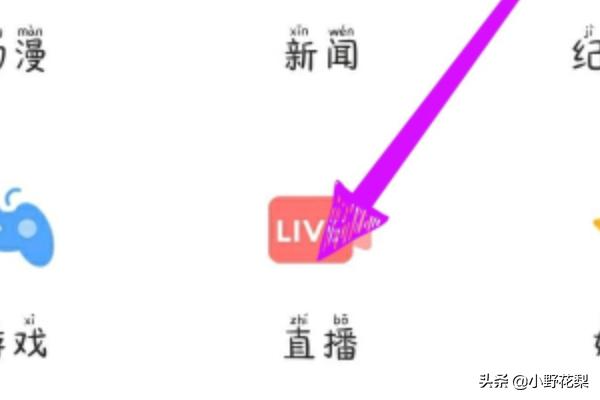 爱上女主播国语版芒果（爱上女主播国语中文版连续剧）