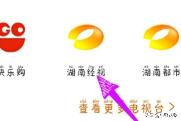 爱上女主播国语版芒果（爱上女主播国语中文版连续剧）